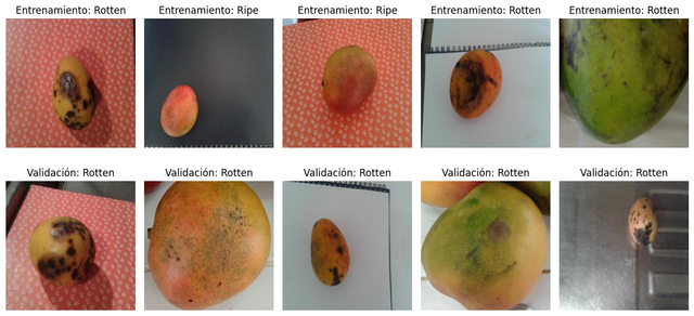 Mango Classification using AI